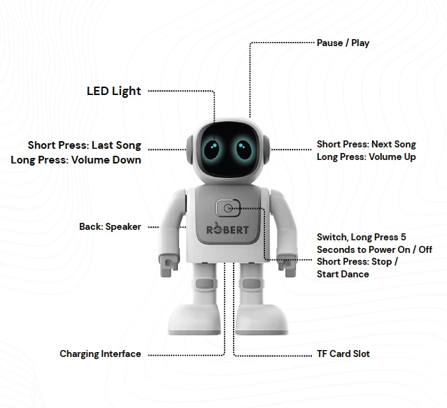 Robert Feature Diagram