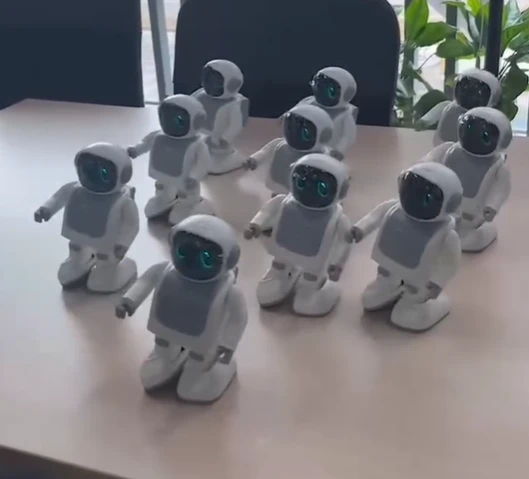 Robert DanceBot app control