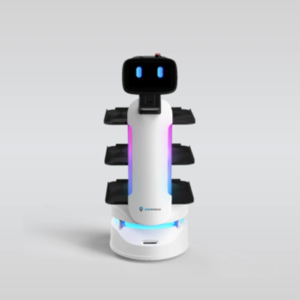 Dinebot Delivery Robot India