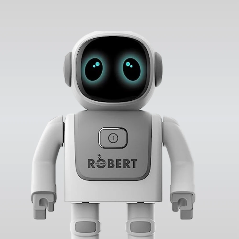 Robert Interactive Robot India